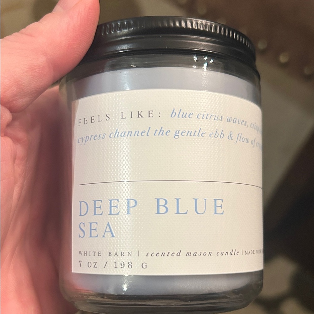 Bath & Body Works Deep Blue Sea Scented Mason Candle, 7oz.